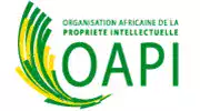 oapi-logo